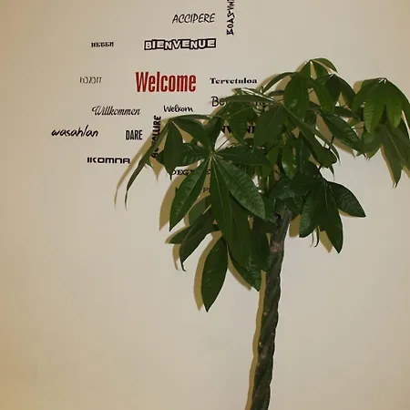 Myroom Centerstation 3*